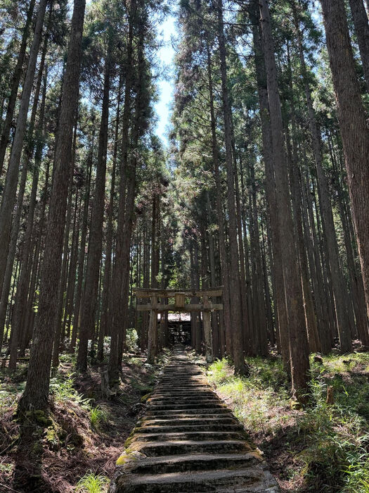 画像2161